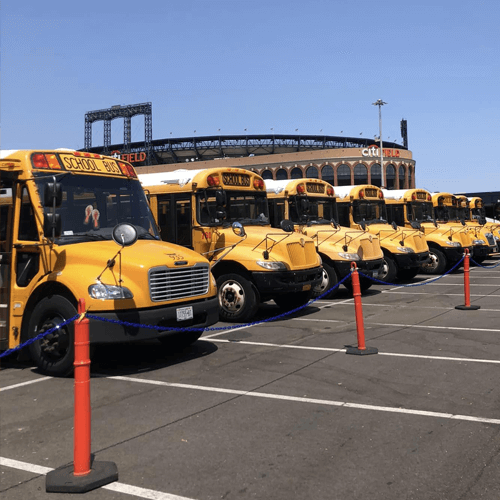 Photo of some of fleet of coaches